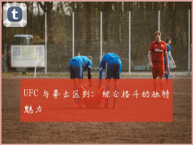 UFC 与拳击区别:综合格斗的独特魅力