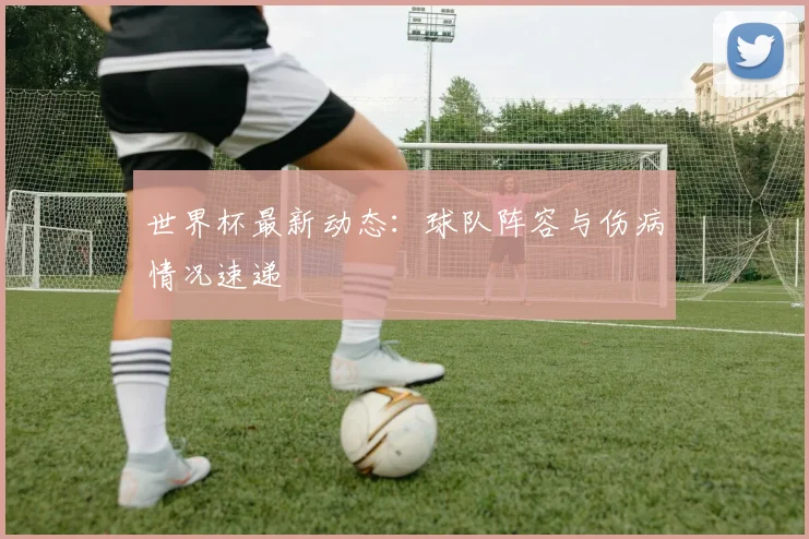 世界杯最新动态:球队阵容与伤病情况速递